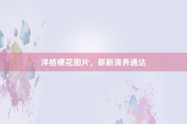 洋桔梗花图片，崭新清秀通达