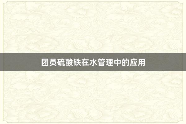 团员硫酸铁在水管理中的应用